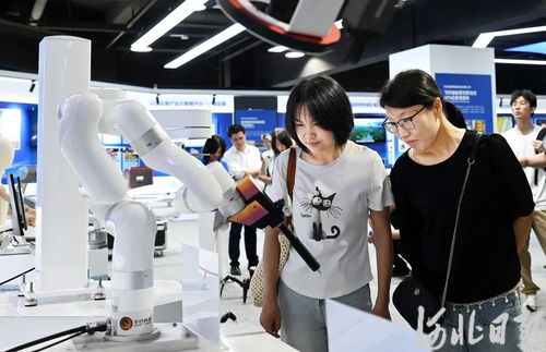 雄安新區(qū) 軟件開發(fā)驅(qū)動(dòng)AI產(chǎn)業(yè)新生態(tài)加速形成